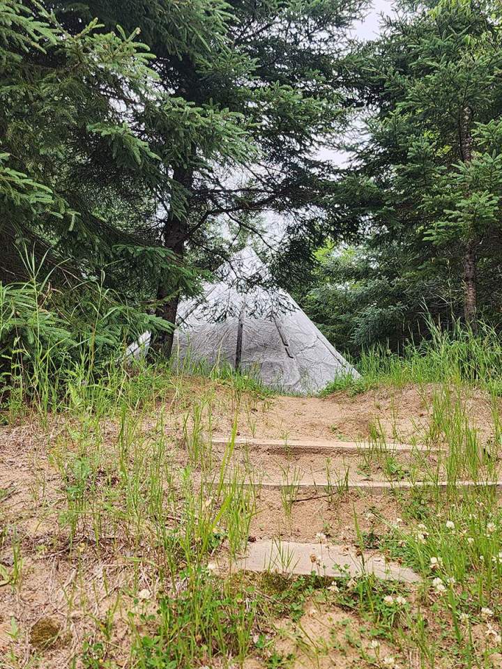 Herbes et tisanes Saguenay–Lac-Saint-Jean