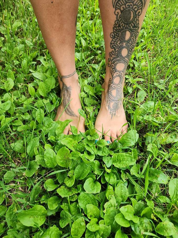 Herboristerie SAGUENAY-LAC-SAINT-JEAN