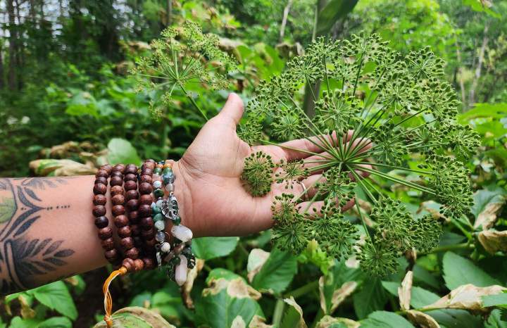 Produits de santé naturels Roberval