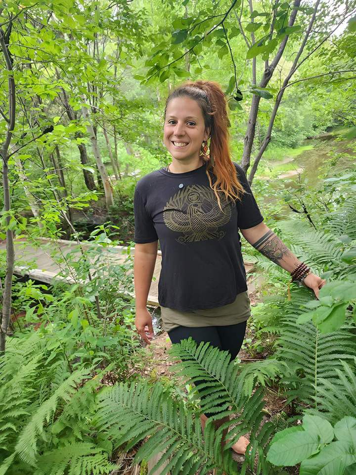 Plantes médicinales Roberval