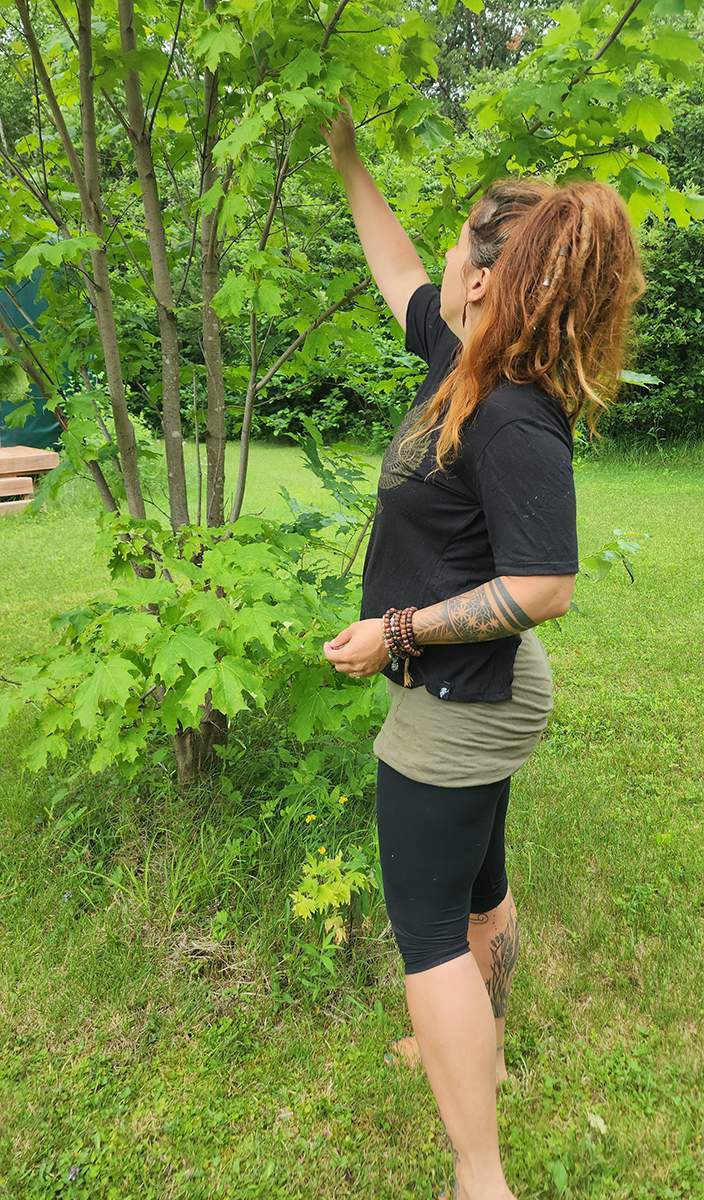 Formation plantes médicinales Roberval