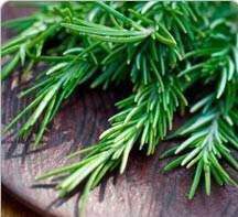 Romarin SAGUENAY-LAC-SAINT-JEAN