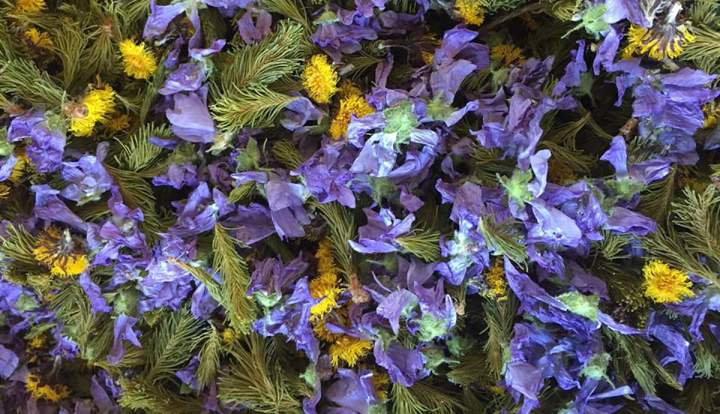 Produits de santé naturels SAGUENAY-LAC-SAINT-JEAN